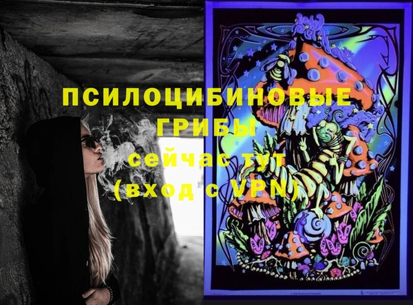 марки lsd Горняк